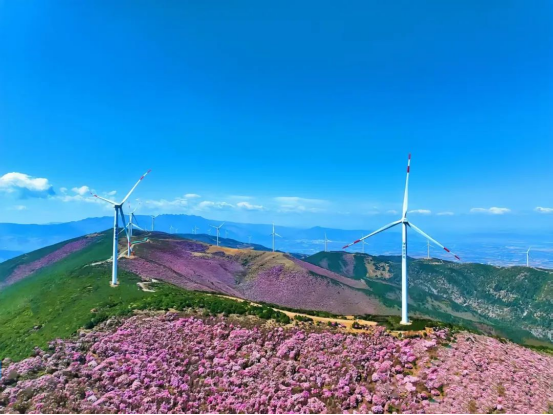 江毅在四川公司调研时强调：统筹高质量发展和高水平安全，全力打造华电川藏战略性可再生能源基地