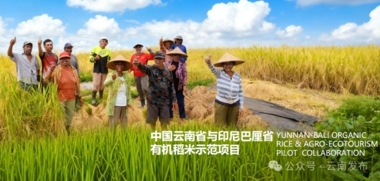 省委书记王宁：主动服务和融入高质量共建“一带一路”，云南开放之路越走越宽