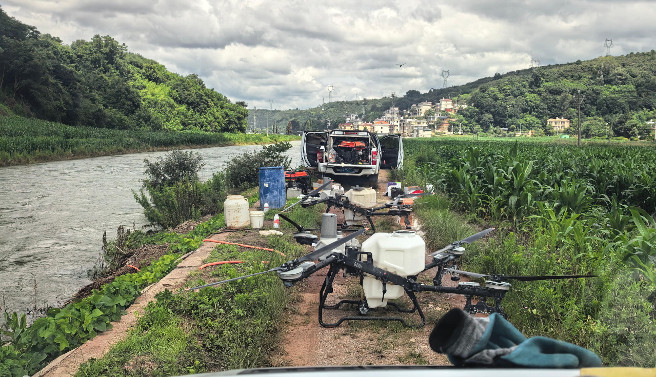 云南省安宁市 2 万亩玉米田精准植保无人机施肥项目